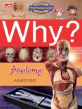 Why ? Anatomy